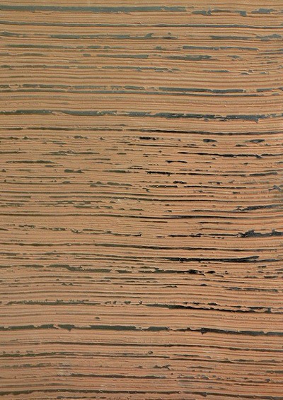 Венецианская штукатурка под дерево Венецианская штукатурка под дерево