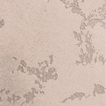 Фасадная штукатурка CREPCO PLASTER 1мм