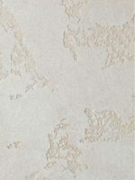 Фасадная штукатурка CREPCO PLASTER 1мм карта мира