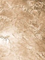 Венецианская штукатурка ITALICA STUCCO MASTICE + NUOVA VENEZIA — изображение 4