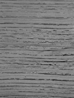 Венецианская штукатурка ITALICA NUOVA VENEZIA + CERA SMALTO (в разных цветах)