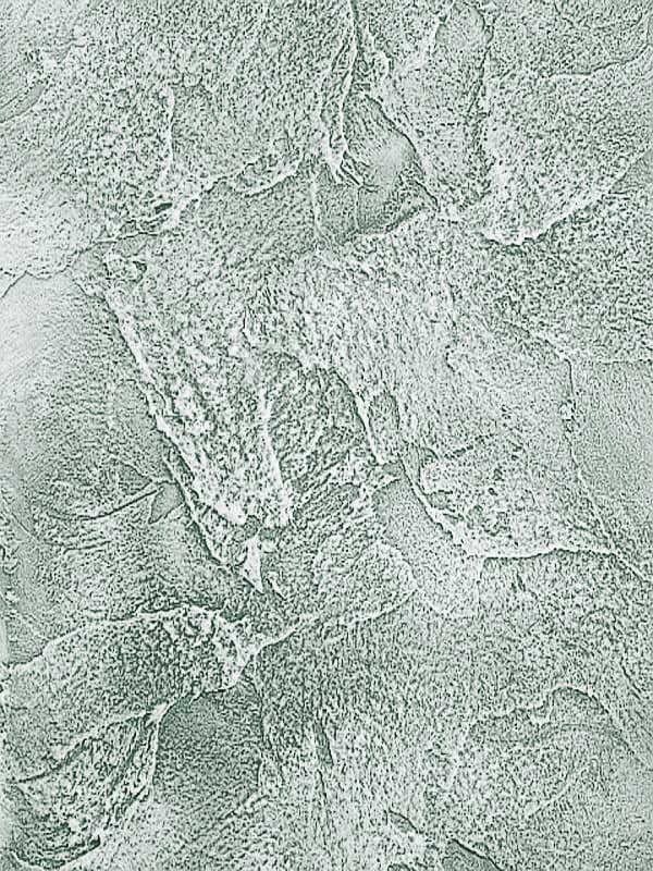 -italica-vilaggio-465rbirusa -italica-vilaggio-465rbirusa