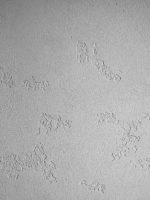 italica-marmo-tavertino-1000-630rseriy