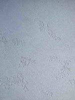 italica-marmo-tavertino-1000-630rsiniy