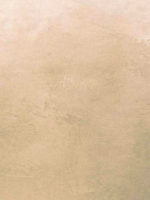 Штукатурка мокрый шелк ITALICA VELOUR