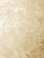 Декоративная штукатурка мокрый шелк ITALICA LUCE (морской губкой)