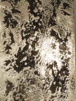 duna-susalnoe-zolotobezhevyy