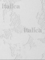 Фасадная штукатурка ITALICA INTONACO QUARZO + Finishmatt