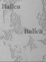 Фасадная штукатурка ITALICA INTONACO QUARZO + Finishmatt