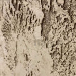 Фактурная штукатурка Italica Villaggio Duna + Nuova Venezia