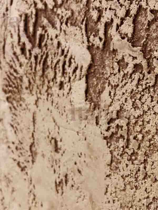 italica-duna-nuova-veneziabezh italica-duna-nuova-veneziabezh