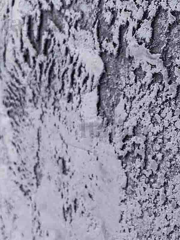 italica-duna-nuova-veneziasiniy italica-duna-nuova-veneziasiniy