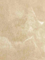 Штукатурка перламутровый песок ITALICA RIFLETTE SHINY 200 (кельма)