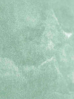 Штукатурка перламутровый песок ITALICA RIFLETTE SHINY 200 (кельма)