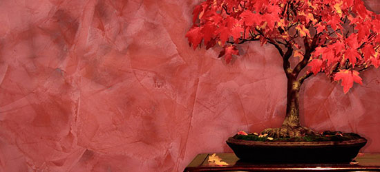 Венецианская штукатурка