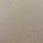 Italica Crack + Metallico Oro + Nuova Venezia в интерьере