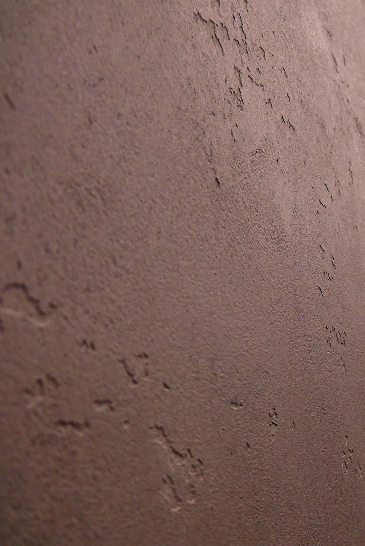 Фактурная штукатурка Intonaco Quarzo + Finishmatt