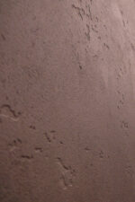 Фактурная штукатурка Intonaco Quarzo + Finishmatt