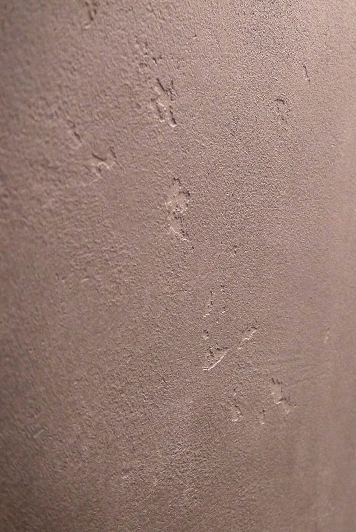 Фактурная штукатурка Intonaco Quarzo + Finishmatt