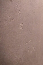 Фактурная штукатурка Intonaco Quarzo + Finishmatt