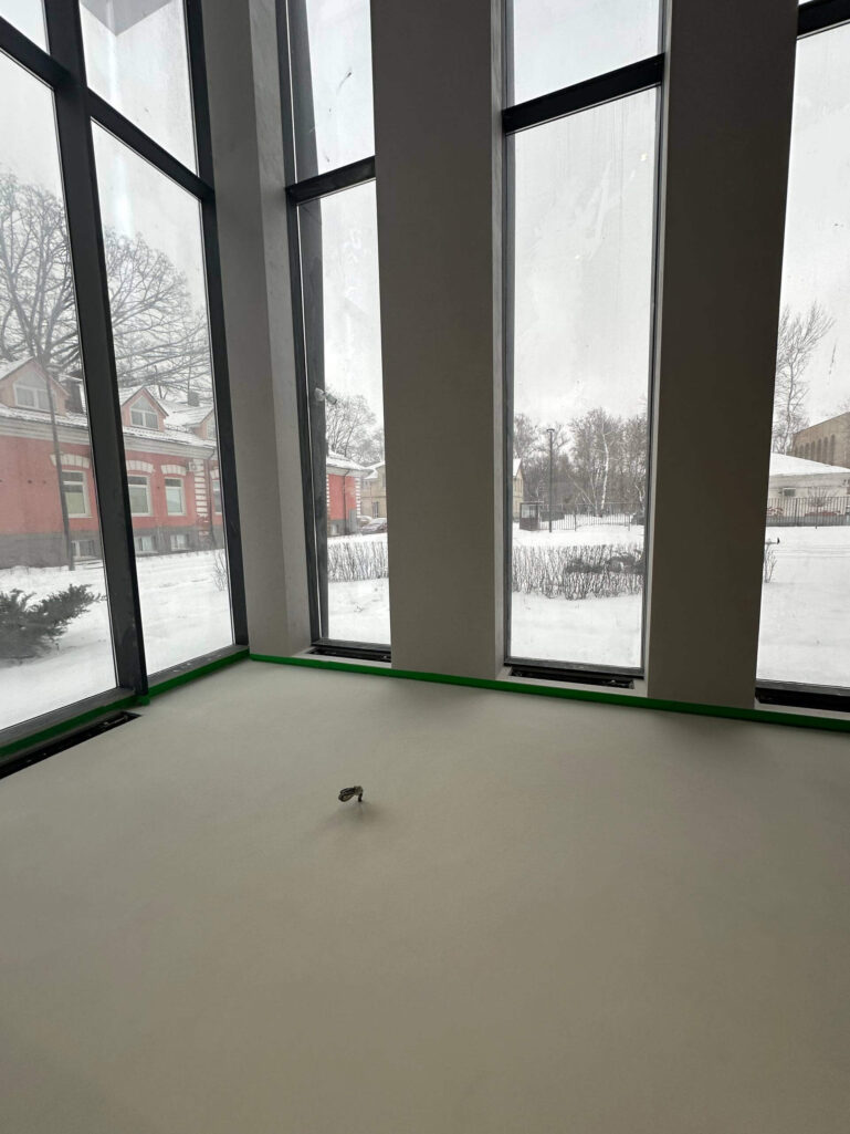 Полы Polycement и стены Intonaco QW500 — цельная отделка интерьера